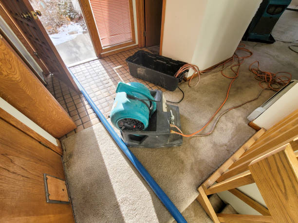 Best Professional water damage repair  in Vine Grove, KY