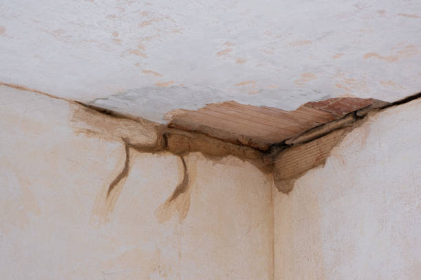 Best Basement water damage restoration  in Vine Grove, KY