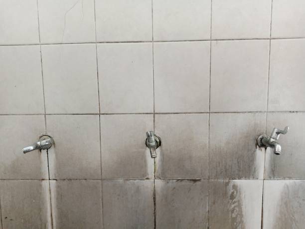 Best Water damage restoration near me  in Vine Grove, KY