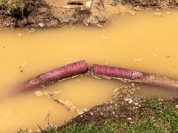 Best Local water damage restoration  in Vine Grove, KY